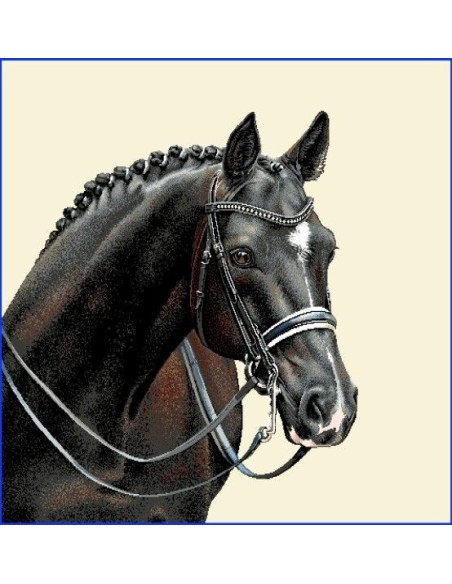 carré, jacquard, coussin, sac, animaux, cheval