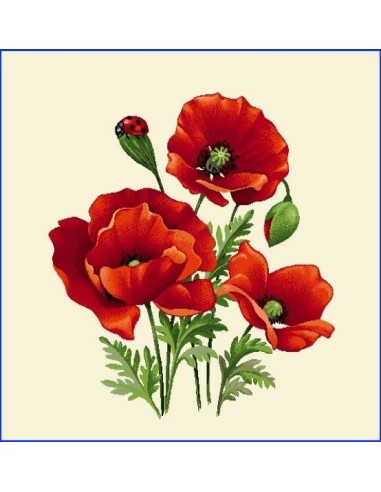 carré, jacquard, coussin, sac, fleurs, insecte, coquelicot, coccinelle