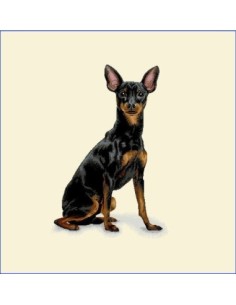 carré, jacquard, coussin, sac, animaux, chien, pinscher