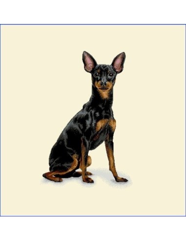 carré, jacquard, coussin, sac, animaux, chien, pinscher