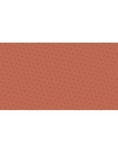 coton, patchwork, makower, d9021o