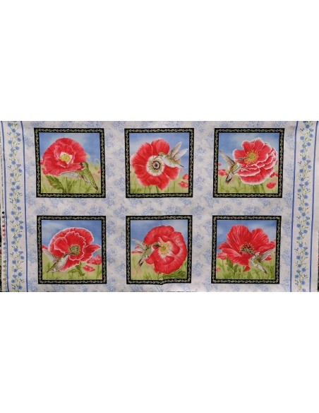 panneau, fleur, coquelicot, printemps