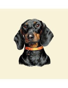 carré, jacquard, coussin, sac, animaux, chien, teckel