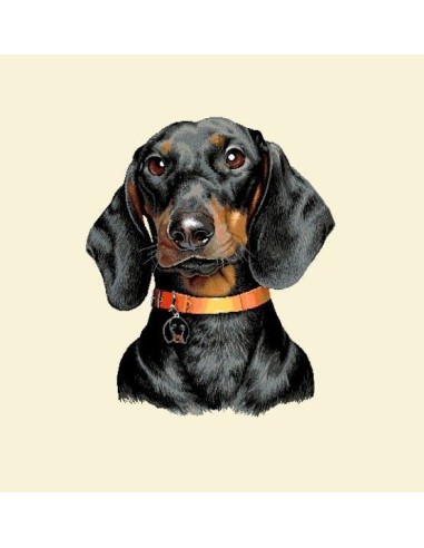 carré, jacquard, coussin, sac, animaux, chien, teckel