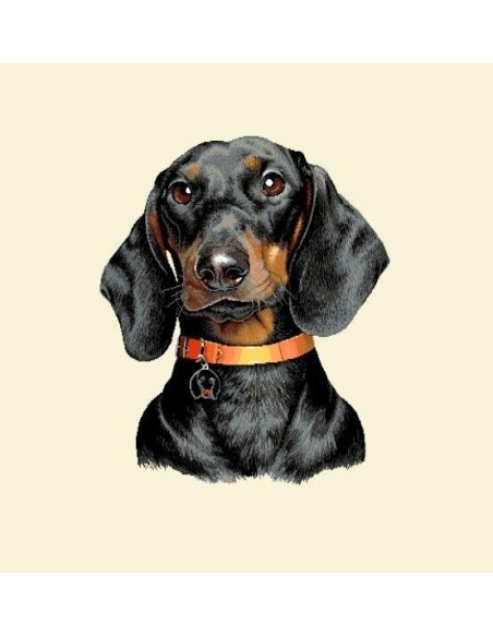 carré, jacquard, coussin, sac, animaux, chien, teckel