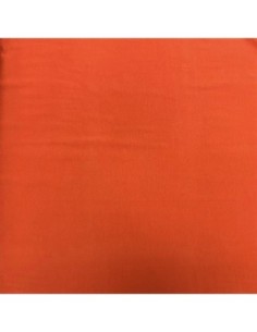 jersey coton, habillement, dinosaures, enfants