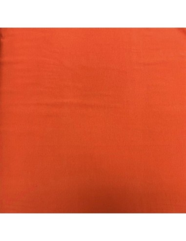 jersey coton, habillement, dinosaures, enfants