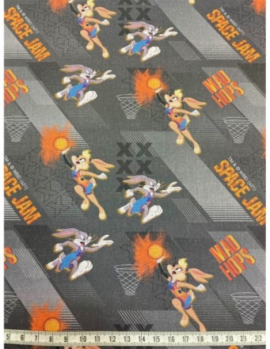 patchwork, licence, space jam, basketball, nba