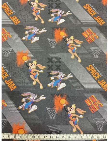 patchwork, licence, space jam, basketball, nba