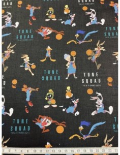 patchwork, licence, space jam, basketball, nba