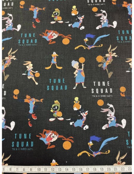 patchwork, licence, space jam, basketball, nba