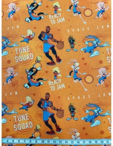 patchwork, licence, space jam, basketball, nba