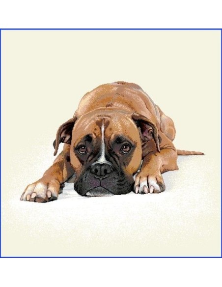 carré, jacquard, coussin, sac, chien, boxer