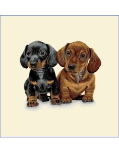 carré, jacquard, coussin, sac, chiens, chiots, teckel