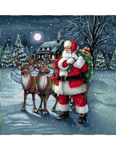 carré, jacquard, coussin, sac, noel