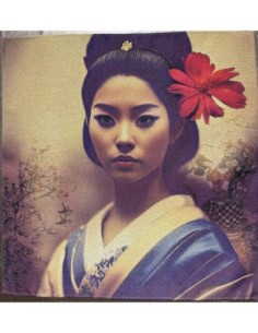 carré, jacquard, coussin, sac,Gheisa,Japon.