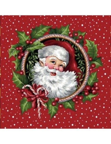 carré, jacquard, coussin, sac, animaux,