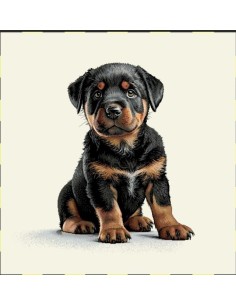 carré, jacquard, coussin, sac, animaux, chien, rottweiler