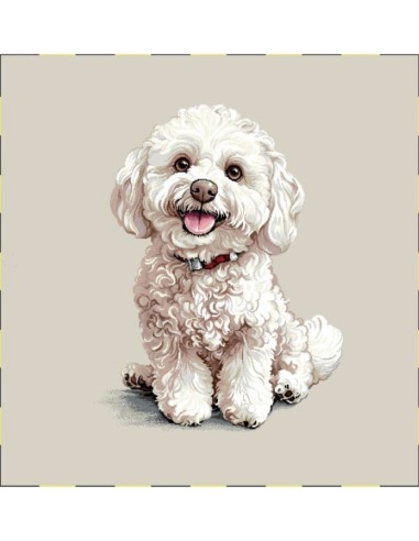 carré, jacquard, coussin, sac, animaux, chien, bichon frisé