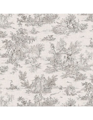 coton, cotonnade,toile de jouy coloris noir