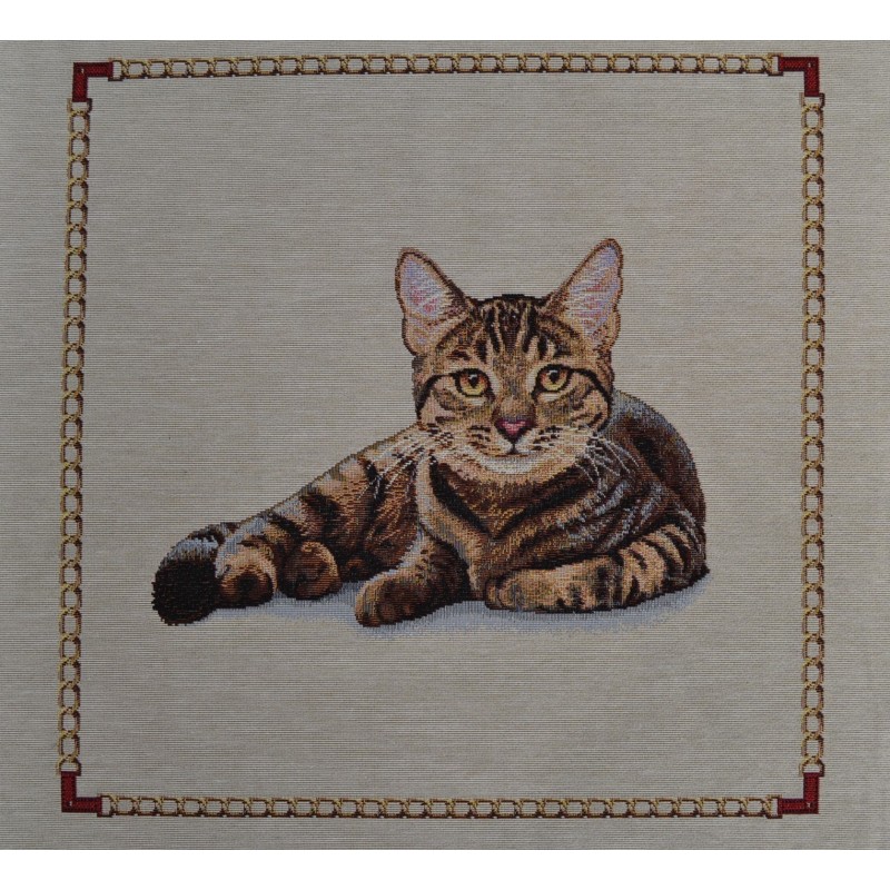 CHAT TIGRÉ ALLONGÉ