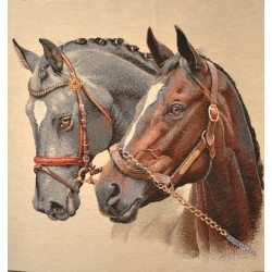 LES CHEVAUX
