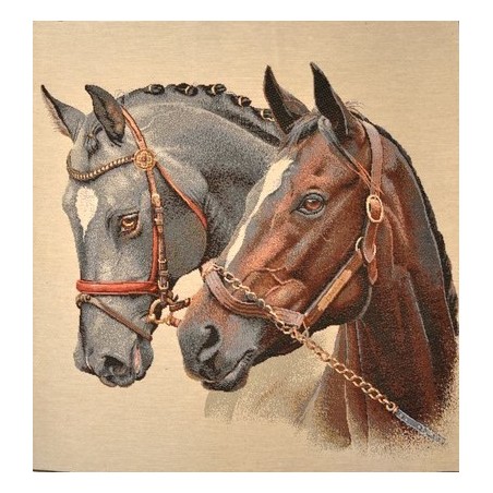 LES CHEVAUX