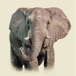 ÉLÉPHANT