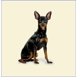 PINSCHER