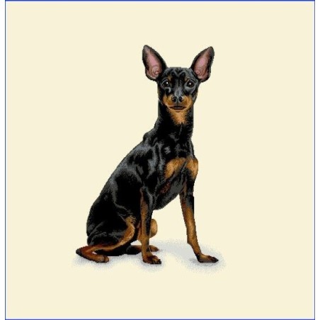 PINSCHER