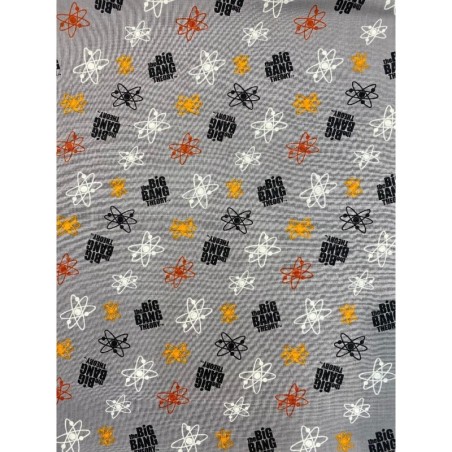 Big Bang Théory gris