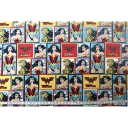 Wonder Woman Fight for justice