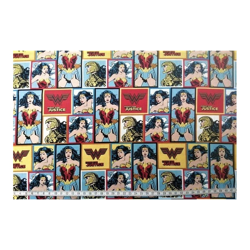 Wonder Woman Fight for justice