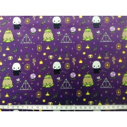 Voldemort fond violet