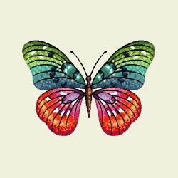 PAPILLON ARC-EN-CIEL
