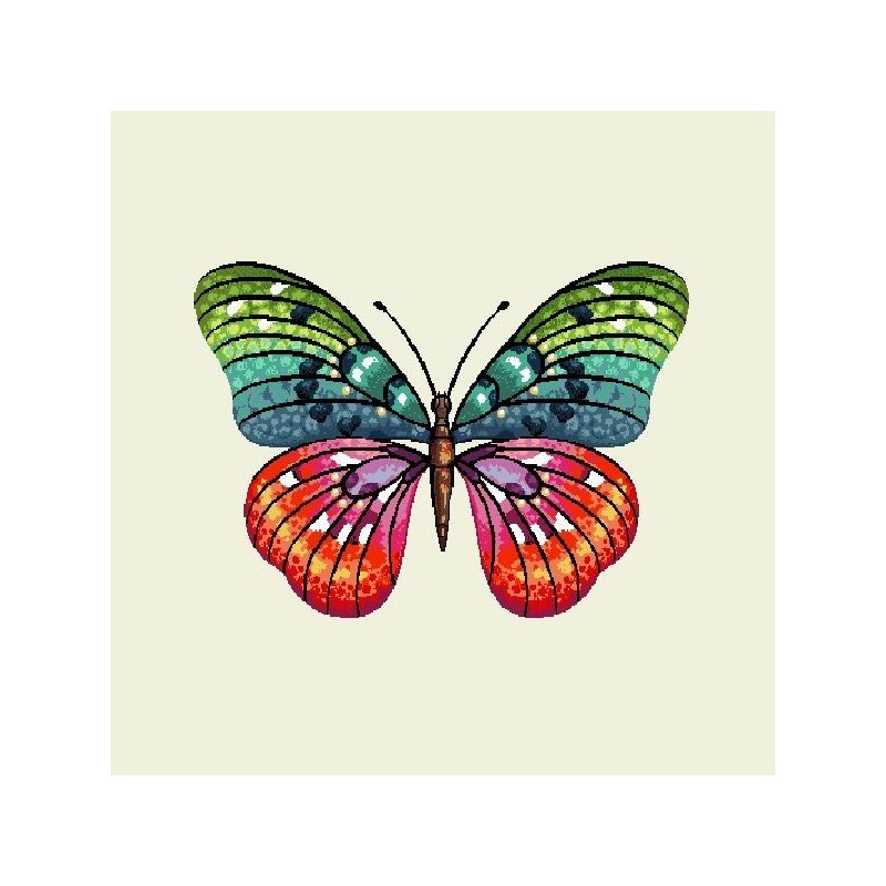 PAPILLON ARC-EN-CIEL