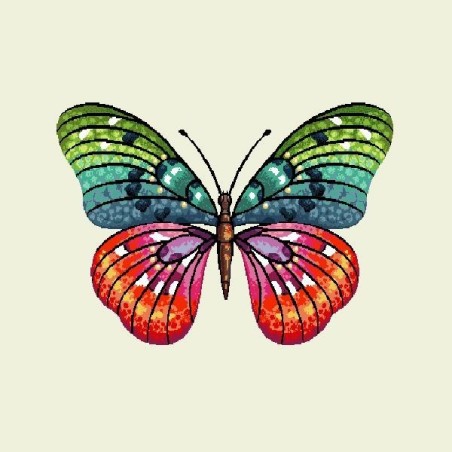 PAPILLON ARC-EN-CIEL