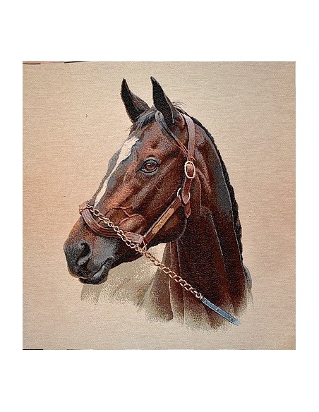 carré, jacquard, coussin, sac, animaux, cheval