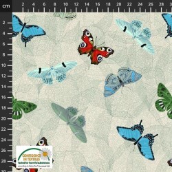 PATCH - My flutter by 420