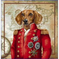 CARRÉ - Sire teckel