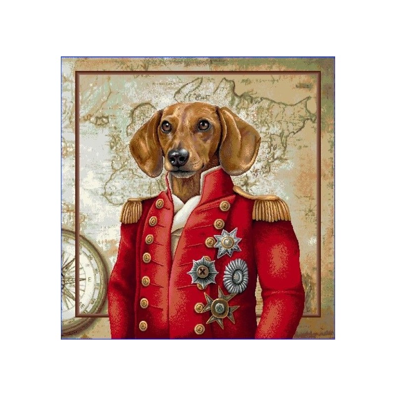 CARRÉ - Sire teckel