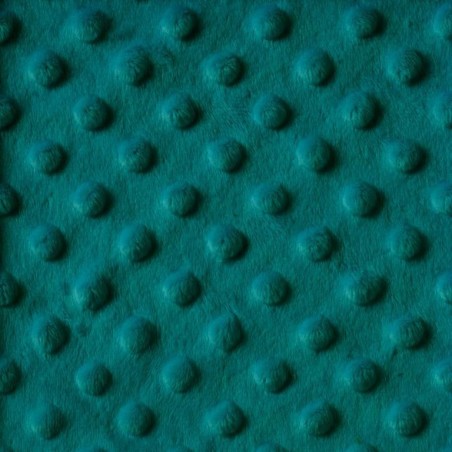 Minky tissu doudou paon