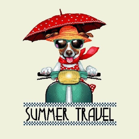 Carré - Jack summer travel